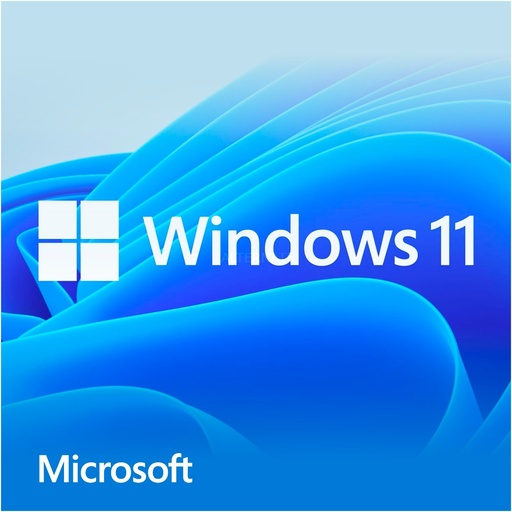 MS Windows 11 Home 64 bit DVD OEM FR